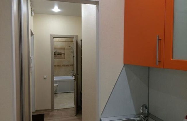 Apartment on Geologorazvedchikov 44a - Photo 11