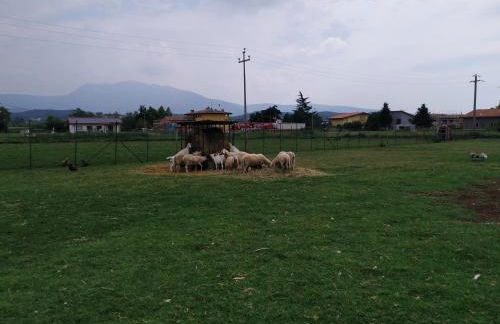 Cà Del Ponte - Foto 38