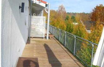 Schneeeule 203 - Foto 5