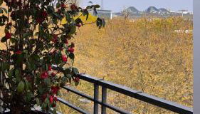 3 bedrooms with Tour Eiffel view - Foto 2