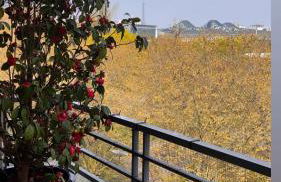 3 bedrooms with Tour Eiffel view - Foto 3