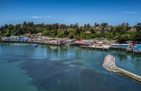 Coastal Garden - Anchor Pier Lodge - Photo 20