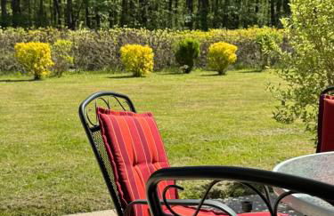 Igelnest im Küstenwald Graal-Müritz - Foto 16