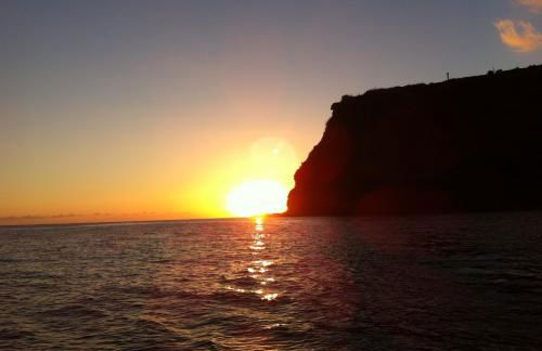 Blooming Botanic Houses - Foto 33