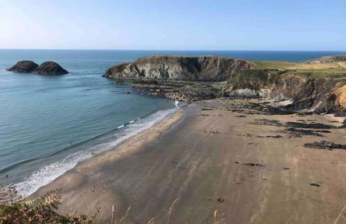 Charming coastal cottage - pet friendly! - Photo 46