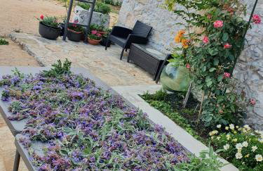 Stone House Rosuja - Foto 47