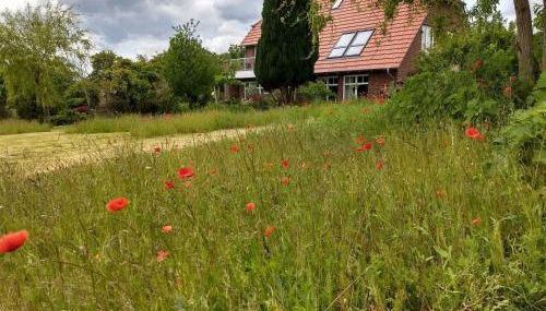 Apartment Schwalbennest by Interhome - Foto 2