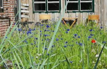 *lütt* Ferienwohnungen lütt & groot - Photo 18