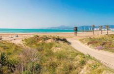 ROYAL BEACH - Appartment with sea view & terrace - Photo 50