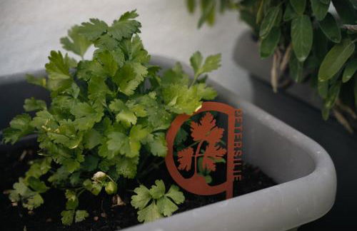 Antonya Apartments - Foto 53