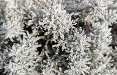 Villa ARIANA, 120m2, Climatisée, Piscine - Foto 21