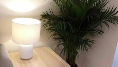 Apartamento Centro III - Murcia - Foto 5