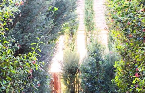 Lavandeira Douro Nature & Wellness - Foto 2