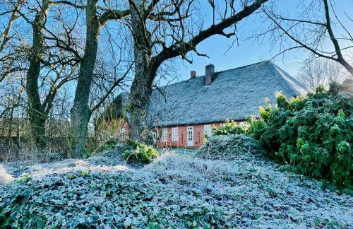 Minimalist Holiday Apartment On Eiderstedt - Foto 13