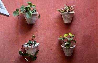 Casa da Matriz Centro Histórico - Photo 15