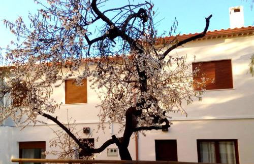 Los Olmos Alojamiento Rural - Foto 26