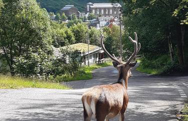 Nevis Pod, West Highland Way Holidays - Foto 3