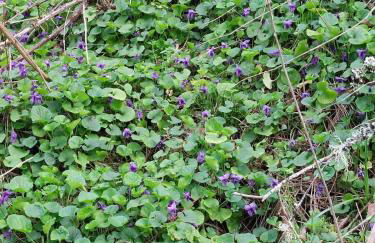 Gîte des Graves de Lilou - Foto 44