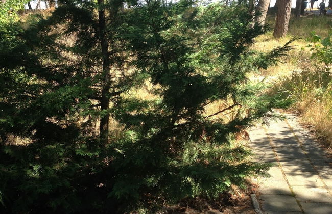 Holiday Home With Direct Access to the Beach - Foto 22