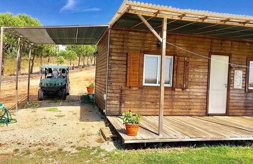 Monte da Tojeirinha - Foto 11