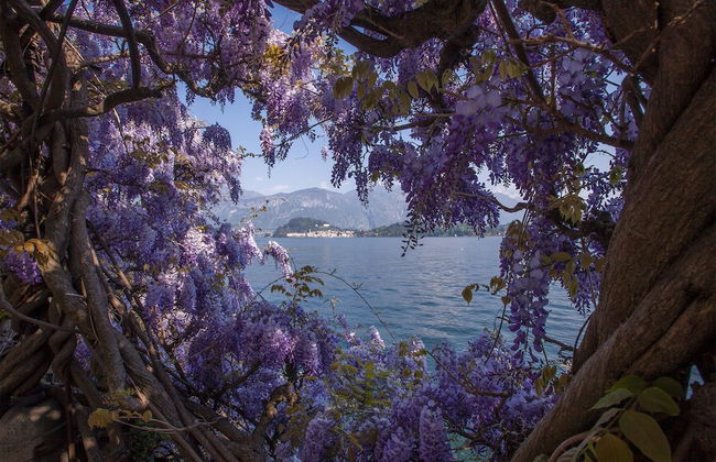 Nobiallo Fantastico - Photo 16