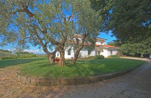 Villa Stauder - Foto 15