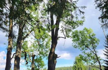 Komfortowy dom z bali koło Zieleńca z widokiem na góry - Foto 38