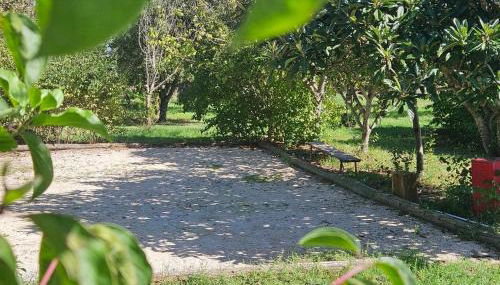 Les oliviers - Foto 5, Garden