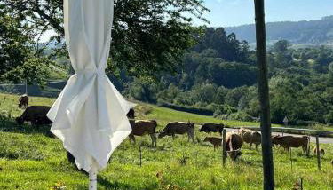 Casa Rural La Pereda - Foto 3