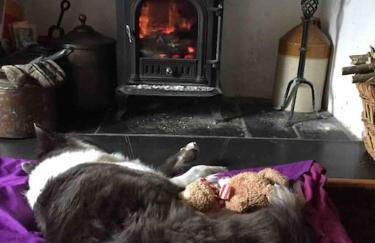 HOLIDAY HOUSE TANYGRISIAU SNOWDONIA North Wales - Foto 27