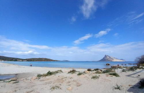 Flamingo's Home - Foto 17