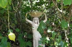 La Casita de la Vega - Foto 77