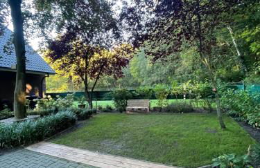 Hirschblick - Foto 11