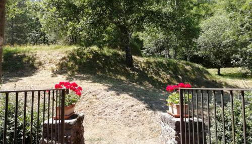 Vignoli - Foto 5, Garden