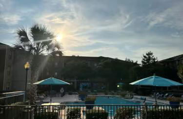 Bright & Stylish 1BR Minutes to The Woodlands - Foto 13