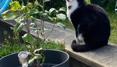 Superbe 3 pièce jardin - Foto 2