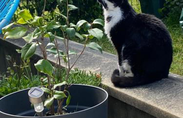 Superbe 3 pièce jardin - Foto 2