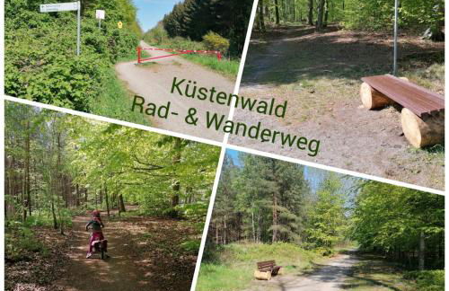 Ostsee-Wiesenpieper (Graal-Müritz) - Foto 14