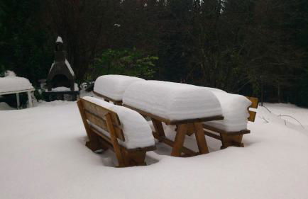 Quellenhof Kollnburg - Foto 19