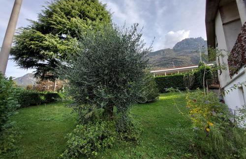 Mandello Panoramico - Foto 8