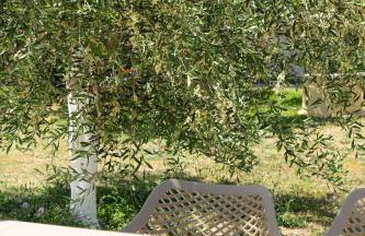 Haroula Apartments - Foto 27