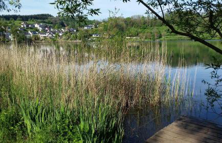 Ferienhaus Eifelhöhe mit Maarpanorama - Foto 27