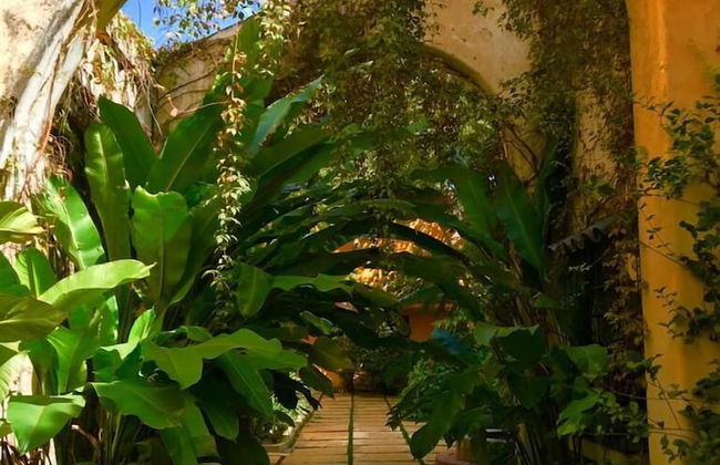 Demetria Bungalows - Foto 31