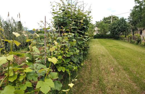 Spacious apartment QuAdria near Motovun - Foto 41