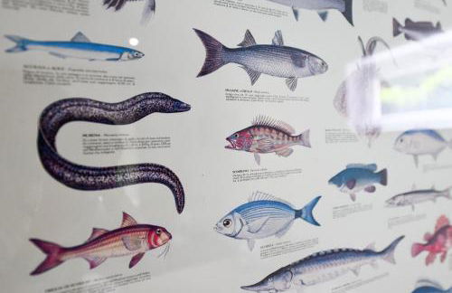 Regina e Oriente - Foto 45