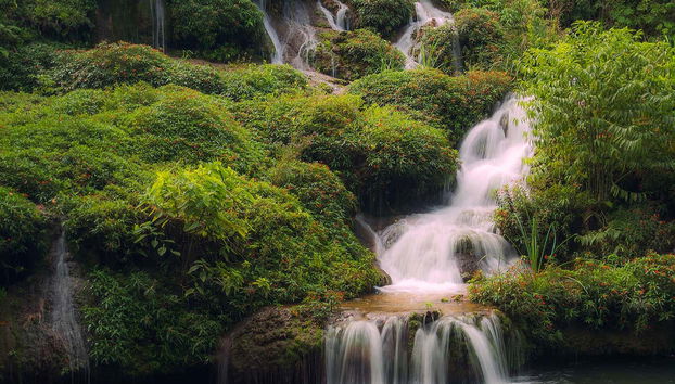 Explorez de la jungle autour de Bonito