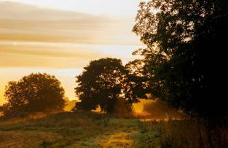 The Osprey - Oak - Foto 8