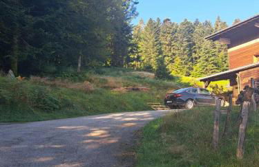 Chalet Le Belvédère, vue exceptionnelle dans les Hautes Vosges - Foto 42