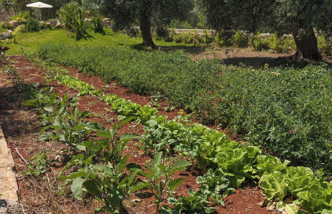 Tenuta Gianfredi - Foto 62