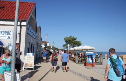 Silbermöwe im Kirschgarten - Foto 60